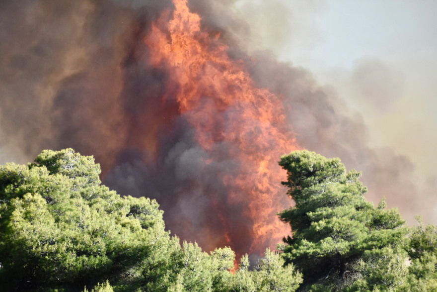 Φωτιά στον Σχίνο: Μάχη με τις αναζωπυρώσεις- Ανησυχία για τα μέτωπα σε Καλκάνι και Παπαγιαννέικα 