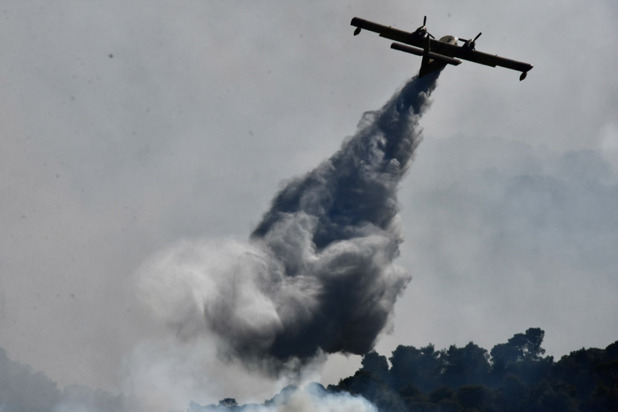 Φωτιά στον Σχίνο: Μάχη με τις αναζωπυρώσεις- Ανησυχία για τα μέτωπα σε Καλκάνι και Παπαγιαννέικα 
