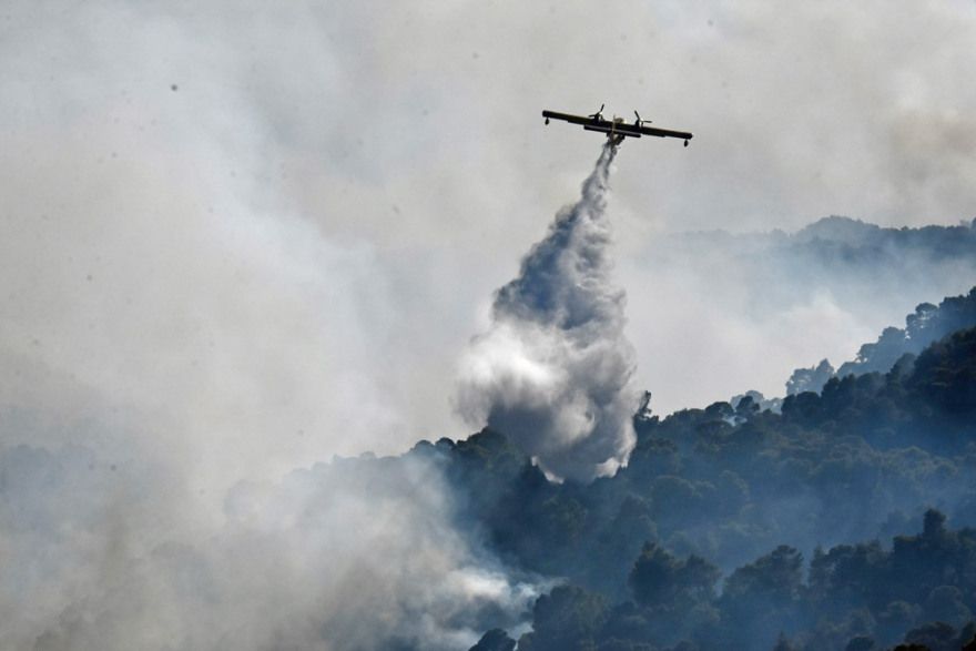 Φωτιά σε Κορινθία - Μέγαρα: Μάχη με τις αναζωπυρώσεις στο Αλεποχώρι - Διάσπαρτες εστίες σε πολλά σημεία