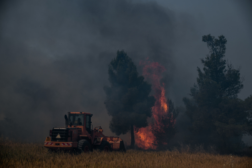 Φωτιά στον Σχίνο: Ολονύχτια επιφυλακή για αναζωπυρώσεις -Κάηκαν 55.000 στρέμματα δάσους και πολλά σπίτια 