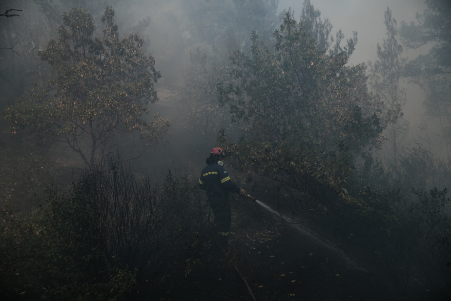 Φωτιά στον Σχίνο: Ολονύχτια επιφυλακή για αναζωπυρώσεις -Κάηκαν 55.000 στρέμματα δάσους και πολλά σπίτια 