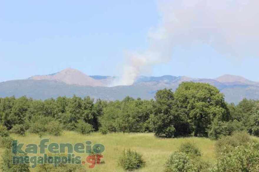 Δύο φωτιές βρίσκονται σε εξέλιξη στην Αρκαδία και στη Λακωνία