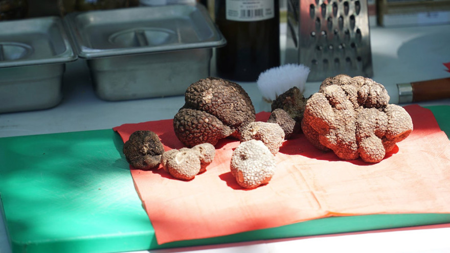 Μουσείο Φυσικής Ιστορίας Μετεώρων: Διοργανώνει εξορμήσεις για κυνήγι τρούφας