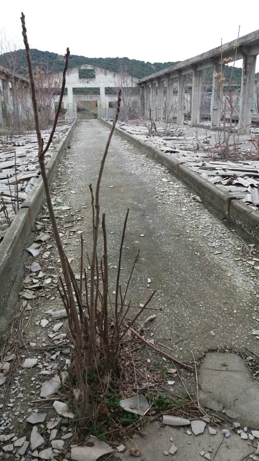 Βέροια: Υγειονομική βόμβα σε μέρος που παίζουν παιδιά 