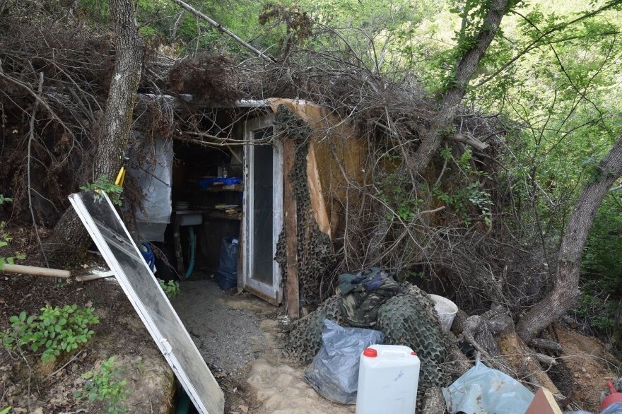 Κιλκίς: Δεύτερη φυτεία με 1.175 χασισόδεντρα