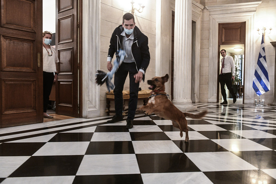 Peanut: Ο νέος σούπερ σταρ του Μαξίμου - Δείτε φωτογραφίες