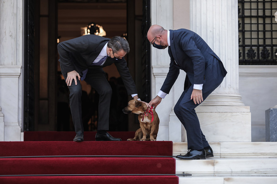 Peanut: Ο νέος σούπερ σταρ του Μαξίμου - Δείτε φωτογραφίες