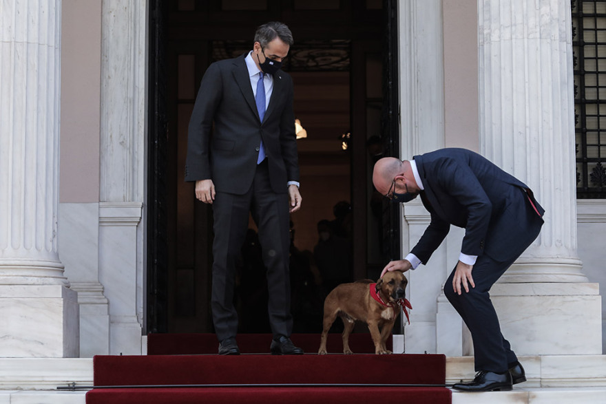 Peanut: Ο νέος σούπερ σταρ του Μαξίμου - Δείτε φωτογραφίες