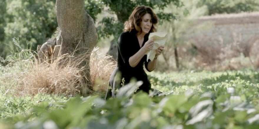 Άγριες Μέλισσες: Τελευταία εβδομάδα με θανατικά και αίμα - Βίντεο & Φωτογραφίες