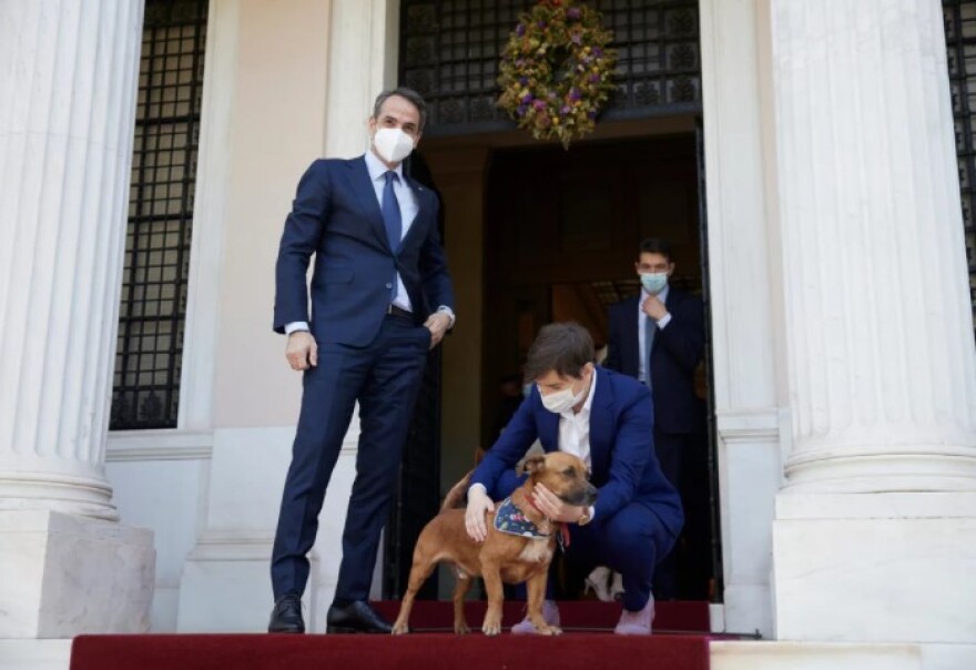 Peanut: Ο νέος σούπερ σταρ του Μαξίμου - Δείτε φωτογραφίες