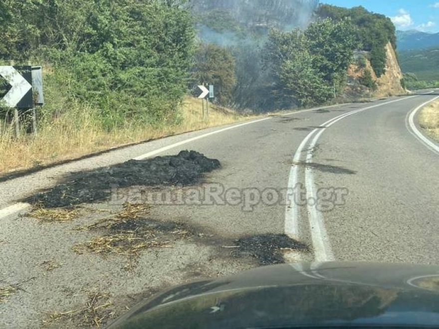 Υπό πλήρη έλεγχο οι φωτιές σε Ίσθμια και Μακρακώμη 