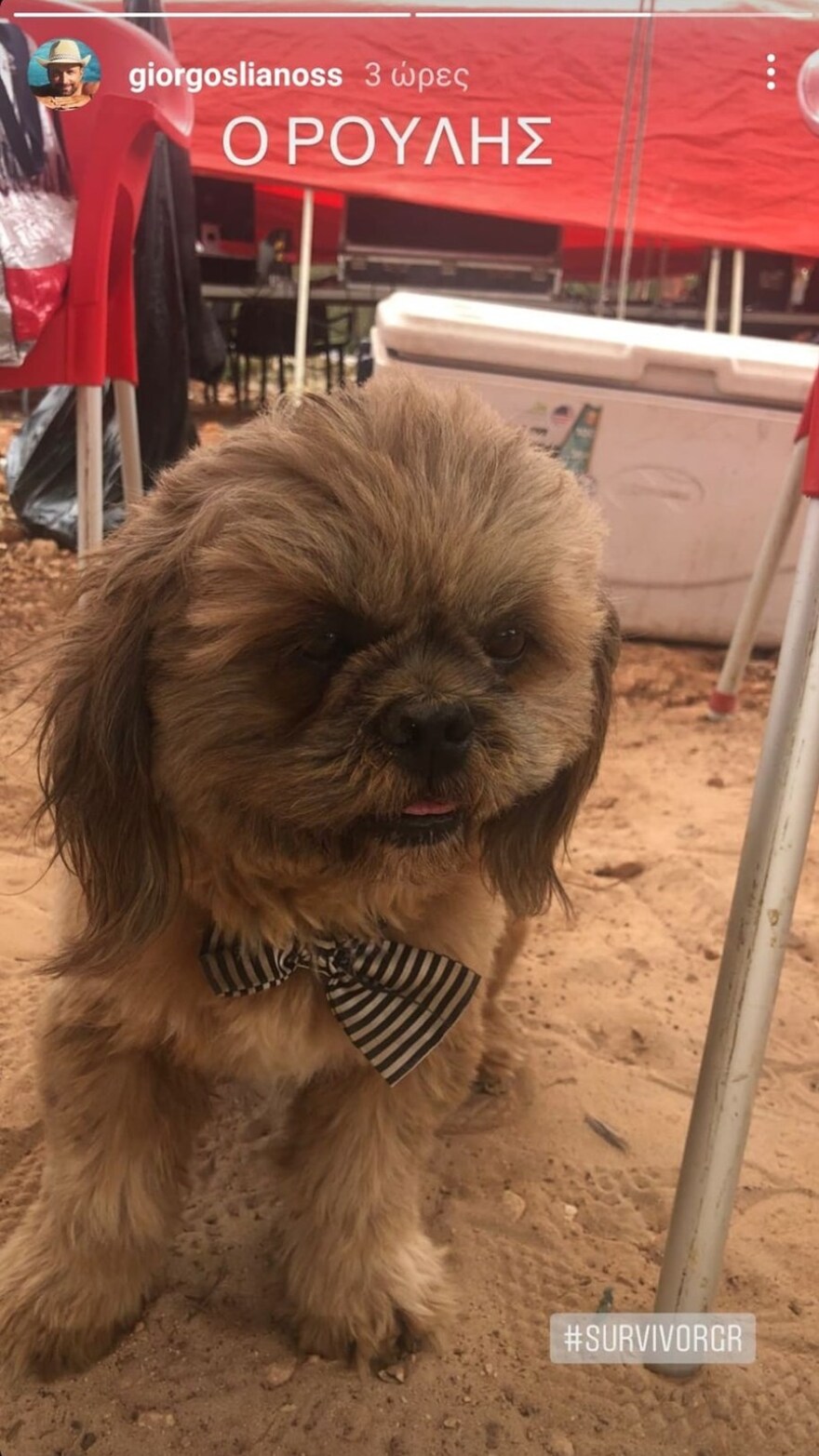 Survivor: Ο Γιώργος Λιανός επέστρεψε στον Άγιο Δομίνικο - Δείτε ποιος τον υποδέχτηκε