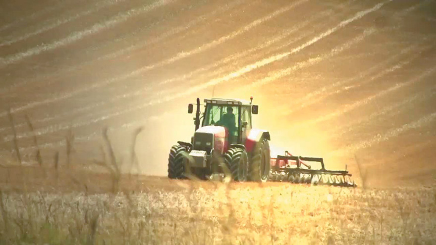 H μάχη των ριάλιτι: 30.000 υποψήφιοι για «Αγρότη», GNTM και «Βig Βrother»