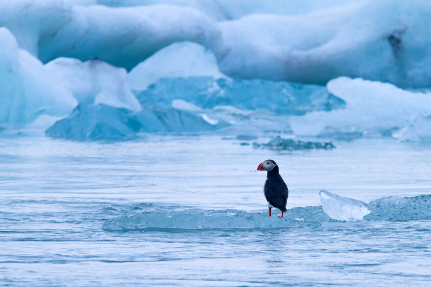 Ο άνθρωπος πίσω από την κλιματική αλλαγή