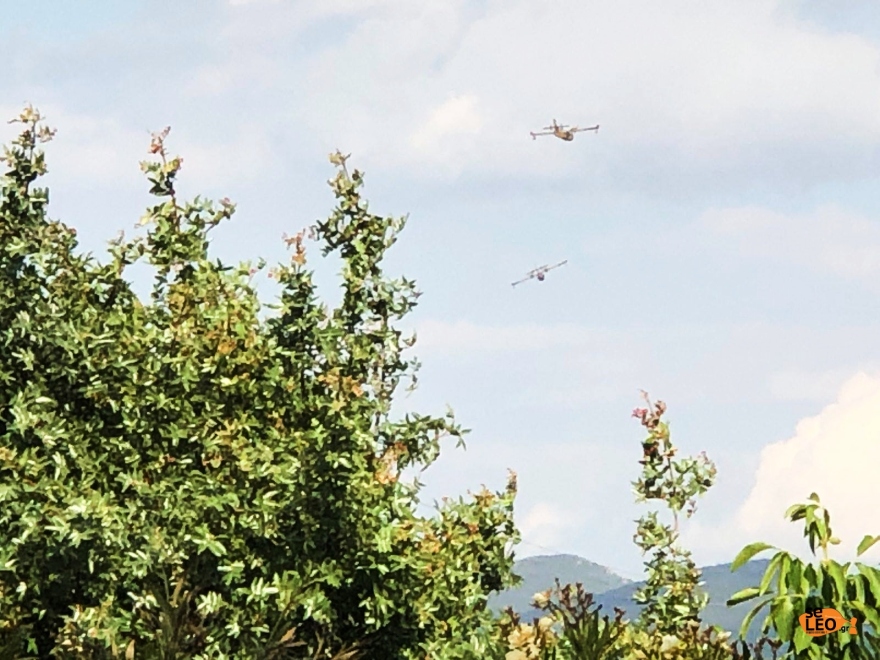 Θεσσαλονίκη: Υπό έλεγχο η φωτιά σε δασική έκταση στο δήμο Θέρμης