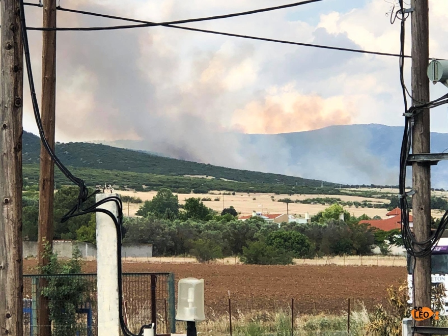 Θεσσαλονίκη: Υπό έλεγχο η φωτιά σε δασική έκταση στο δήμο Θέρμης