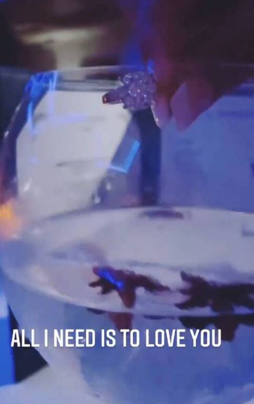 Survivor: Ο Αλέξης Παππάς και η Alessia επισημοποίησαν την σχέση τους - Δείτε φωτογραφίες