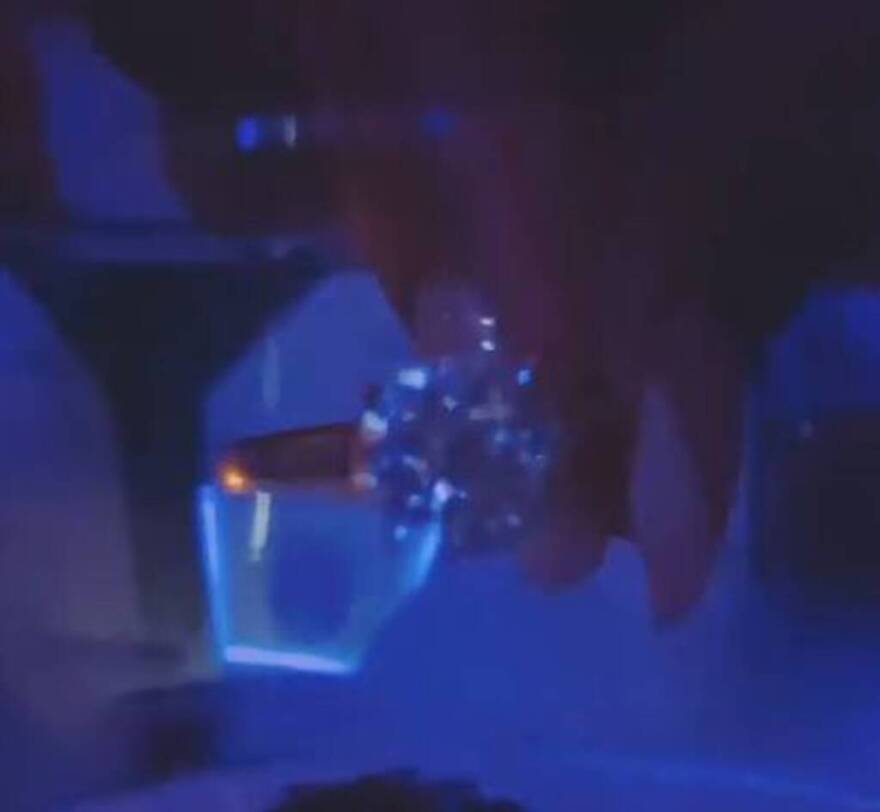 Survivor: Ο Αλέξης Παππάς και η Alessia επισημοποίησαν την σχέση τους - Δείτε φωτογραφίες