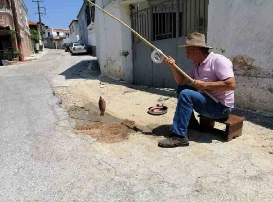 Σέρρες: Viral το ψάρεμα στις… λακούβες του δρόμου