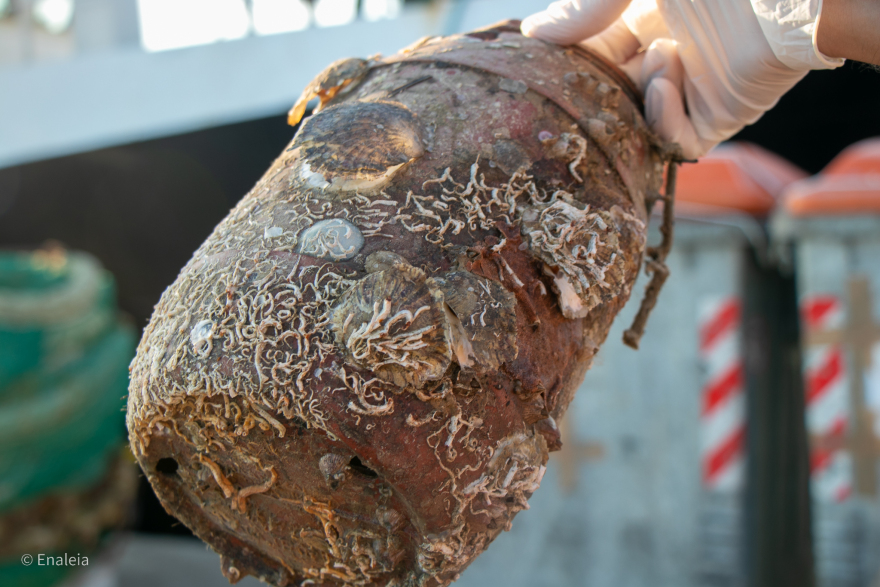 Ξεκινώντας με τον καφέ μας για ένα βιώσιμο περιβάλλον