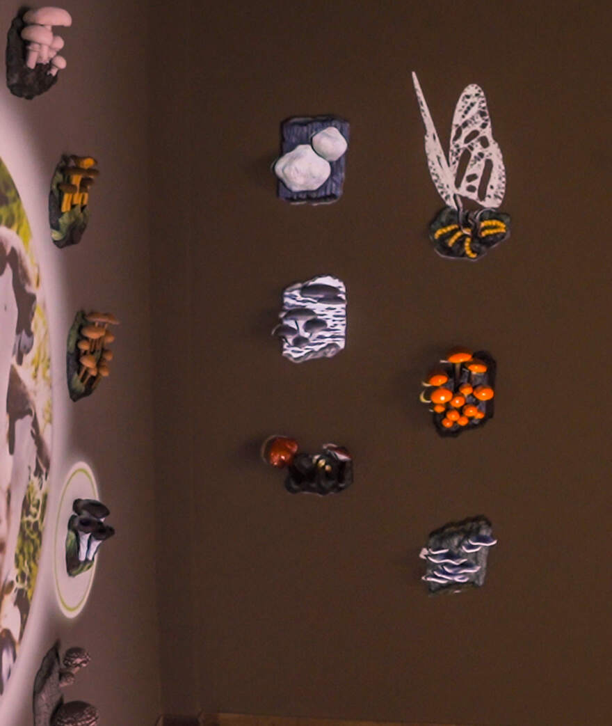 «Χρυσό» στο Μουσείο Φυσικής Ιστορίας Μετεώρων και Μουσείο Μανιταριών 