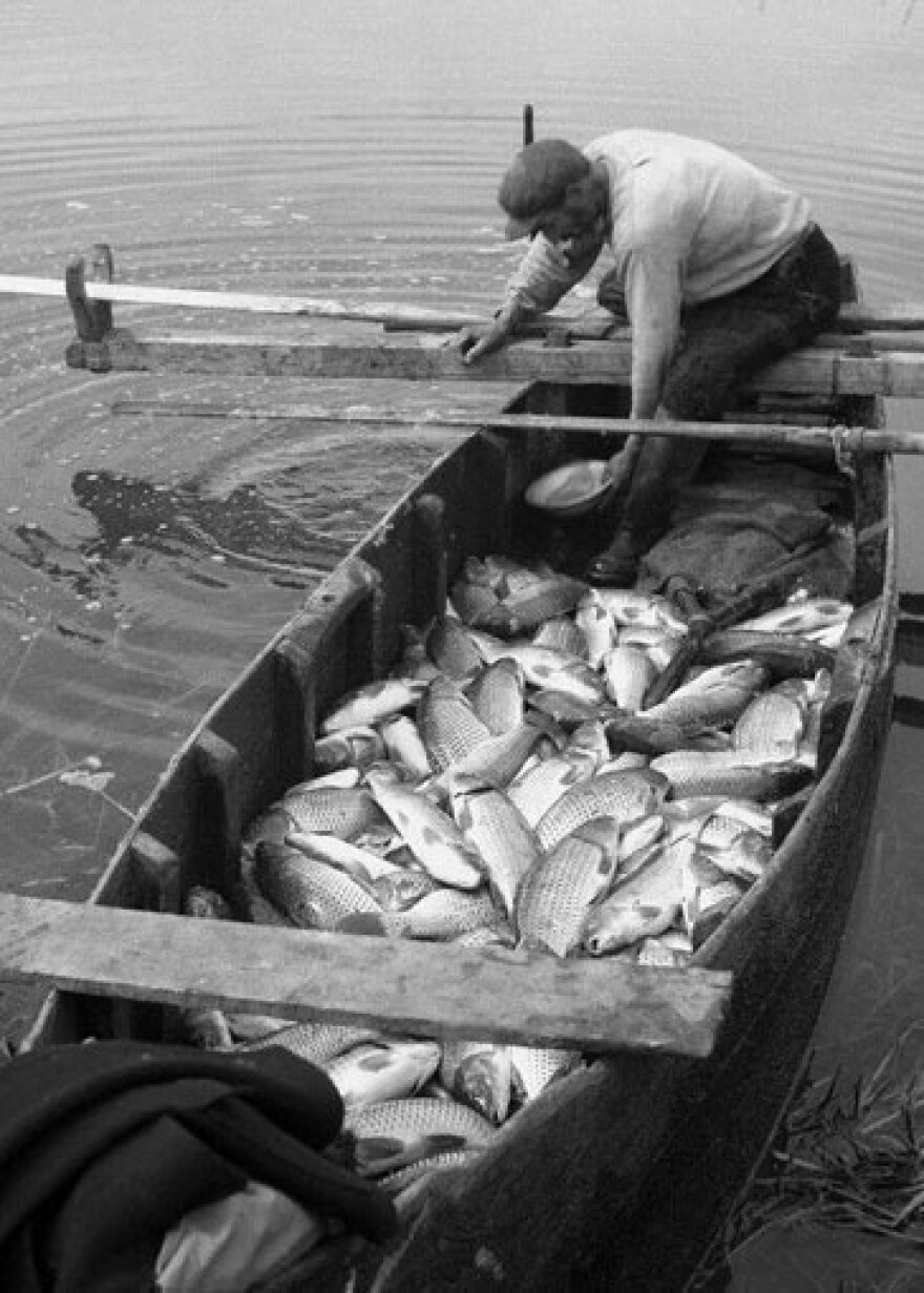 Περί ψαροφαγίας το ανάγνωσμα