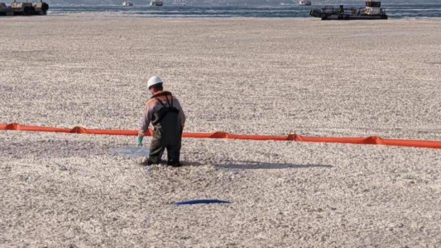 Τουρκία: Δεν αποτελεί επικίνδυνο απόβλητο η «γλίτσα» στον Μαρμαρά, λέει το υπουργείο Περιβάλλοντος