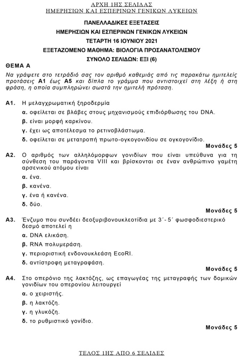 Πανελλαδικές 2021: Δείτε τις απαντήσεις σε Αρχαία, Βιολογία και Μαθηματικά