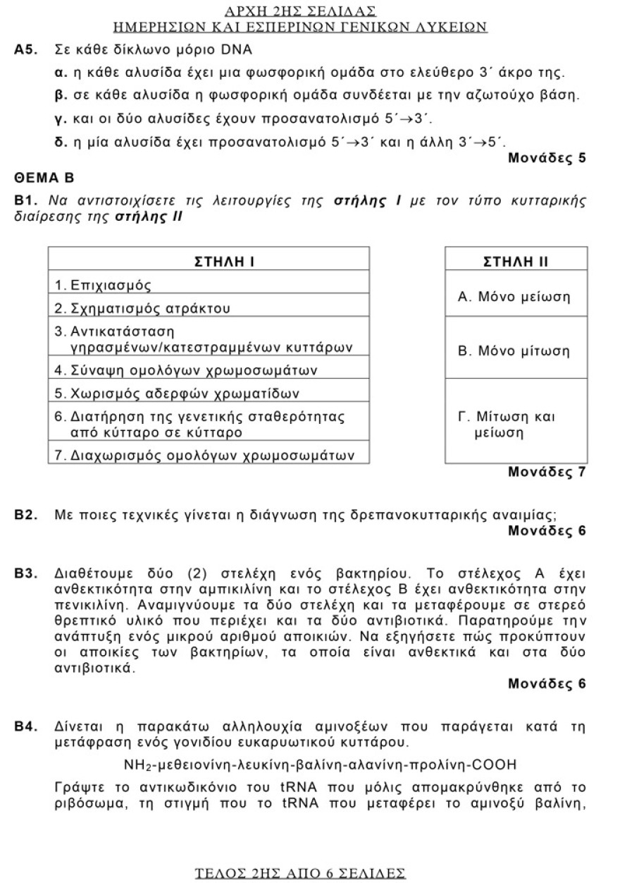 Πανελλαδικές 2021: Δείτε τις απαντήσεις σε Αρχαία, Βιολογία και Μαθηματικά