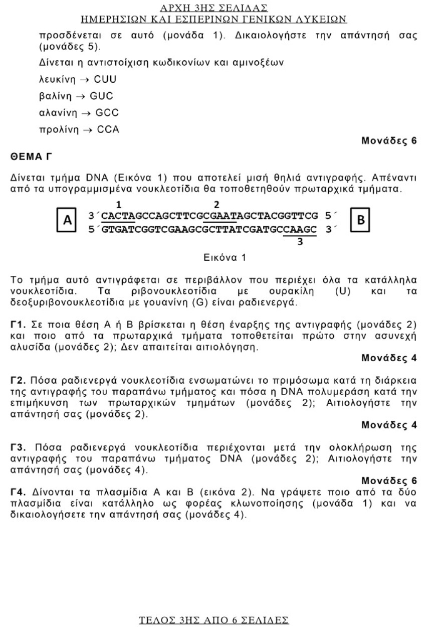 Πανελλαδικές 2021: Δείτε τις απαντήσεις σε Αρχαία, Βιολογία και Μαθηματικά