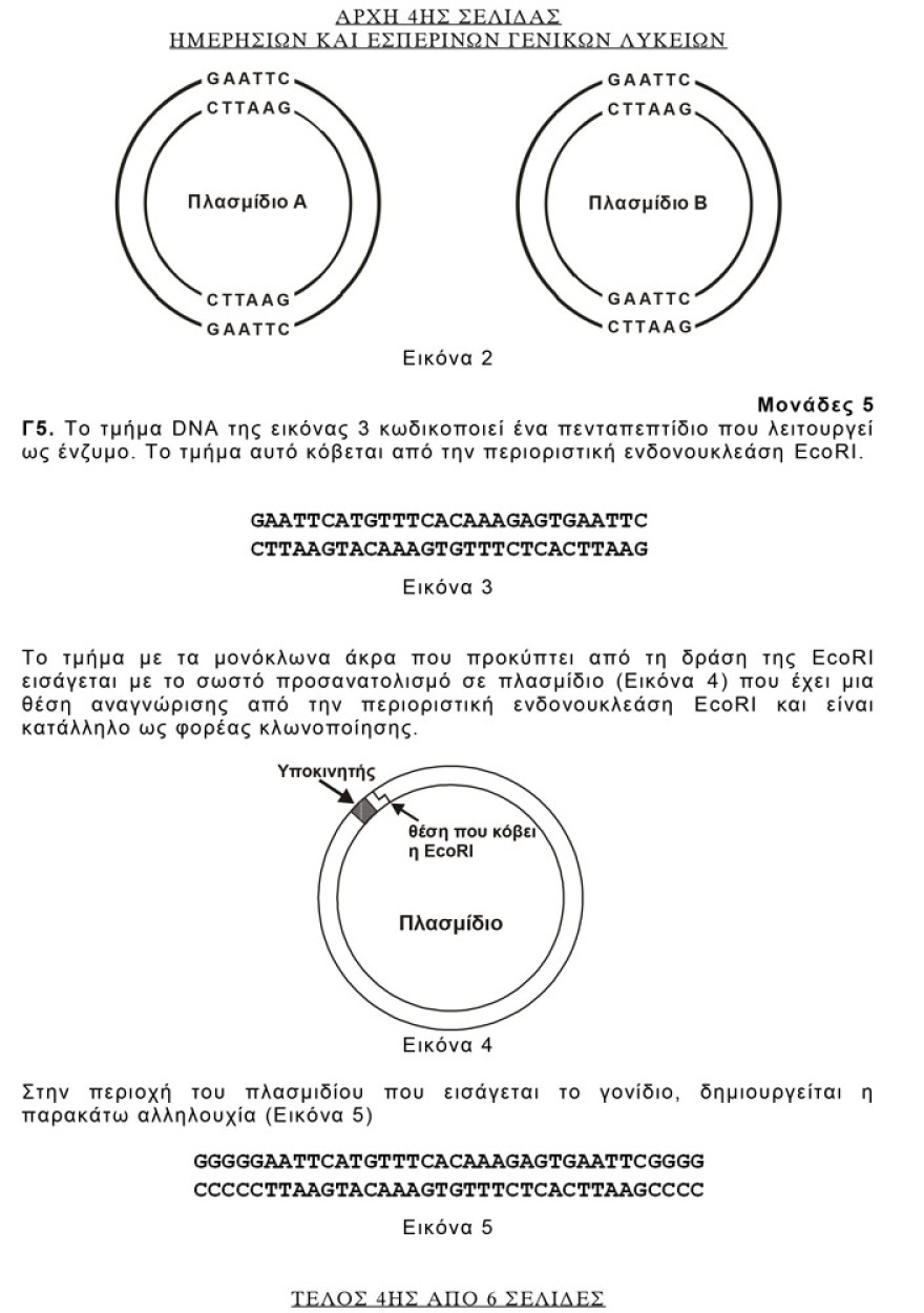 Πανελλαδικές 2021: Δείτε τις απαντήσεις σε Αρχαία, Βιολογία και Μαθηματικά