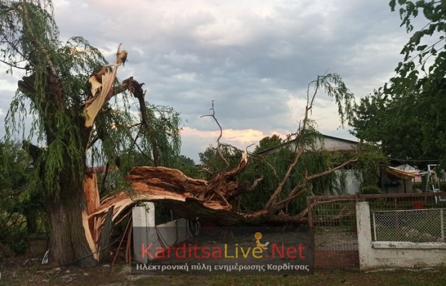Μπουρίνι και χαλαζόπτωση στα Τρίκαλα - Καταστροφές σε καλλιέργειες στην Καρδίτσα