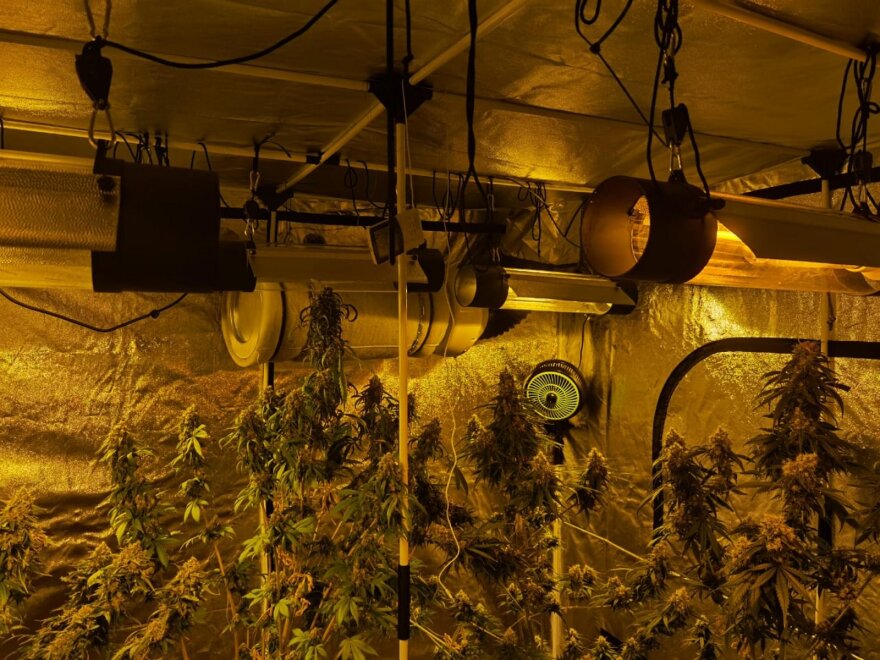 Σπείρα 20 ατόμων διακινούσε κοκαΐνη και κάνναβη σε Αττική και Δωδεκάνησα