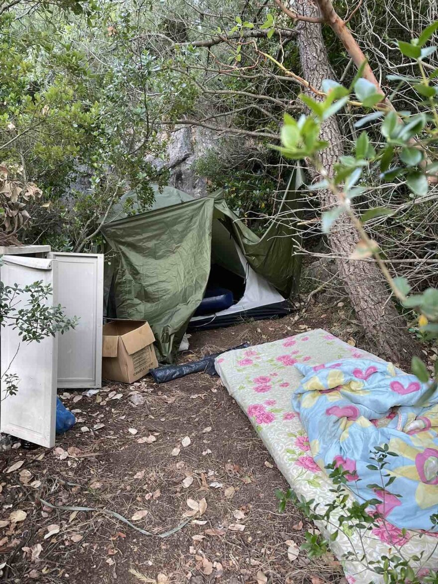 Εξαρθρώθηκε σπείρα που καλλιεργούσε 1.600 δενδρύλλια κάνναβης στον Κάλαμο Αττικής