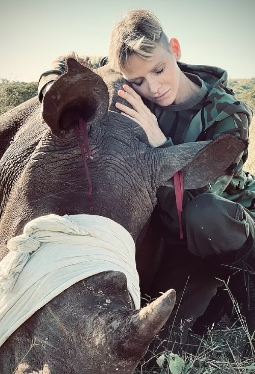 Μυστήριο με την πριγκίπισσα Σαρλίν του Μονακό: Μόνη στη Νότιο Αφρική στην επέτειο του γάμου της