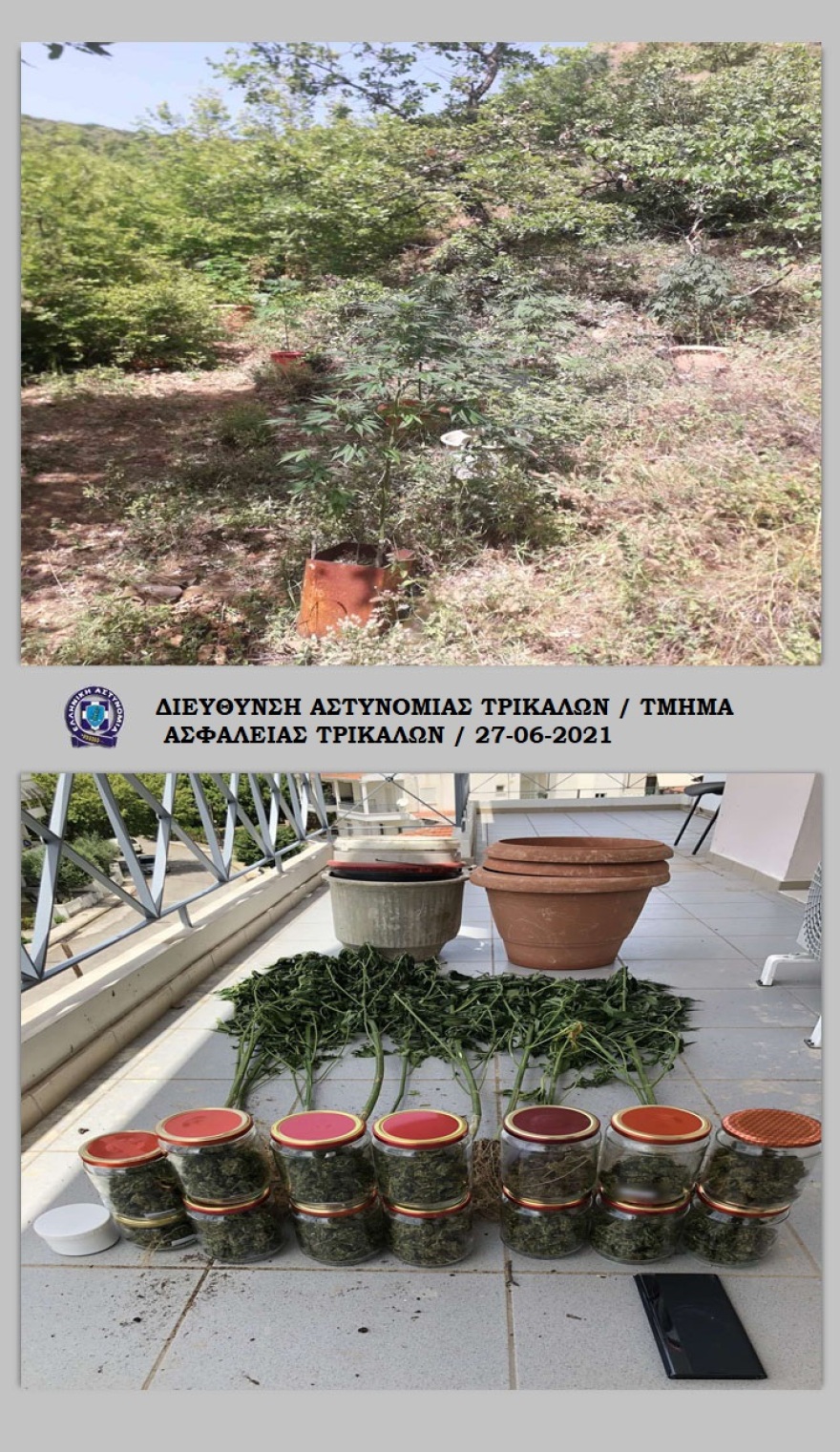 Καλλιεργούσε χασισοφυτεία στη λίμνη Πλαστήρα
