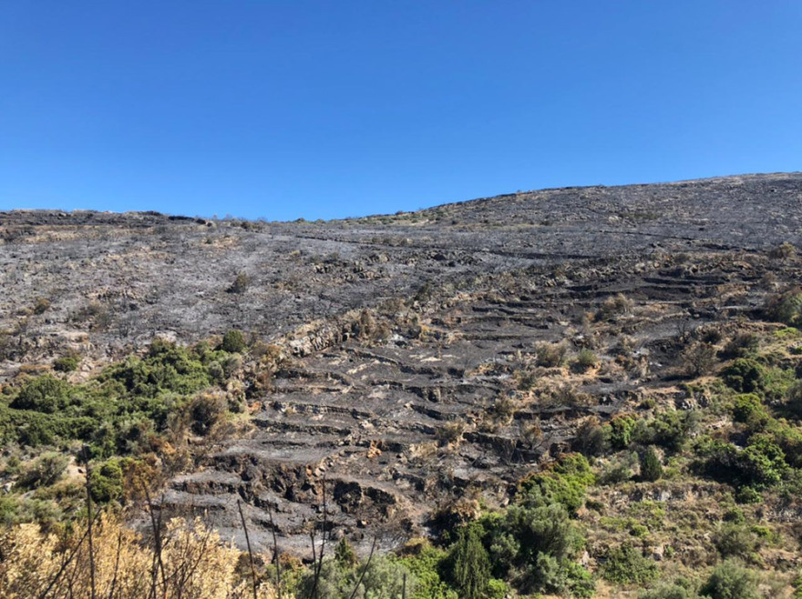 Φωτιά στην Πάρο: Πριν και μετά από την καταστροφή στο βυζαντινό μονοπάτι - Βίντεο και φωτογραφίες