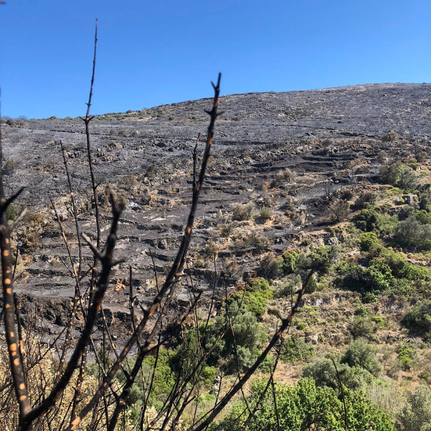 Φωτιά στην Πάρο: Πριν και μετά από την καταστροφή στο βυζαντινό μονοπάτι - Βίντεο και φωτογραφίες