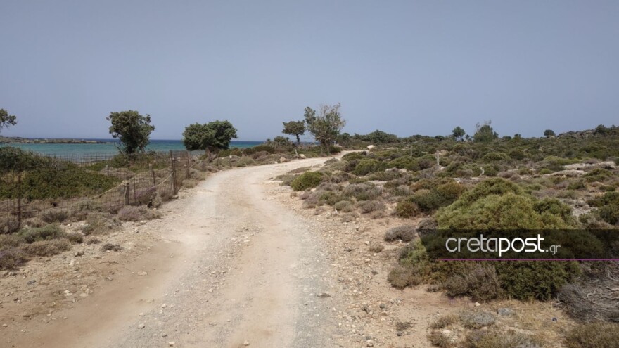 Θάνατος 29χρονης Γαλλίδας στα Χανιά: Η μοιραία απόφαση που την οδήγησε χωρίς δυνάμεις στη χαράδρα