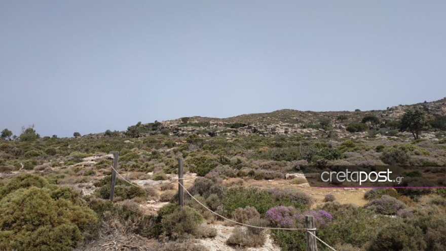 Θάνατος 29χρονης Γαλλίδας στα Χανιά: Η μοιραία απόφαση που την οδήγησε χωρίς δυνάμεις στη χαράδρα