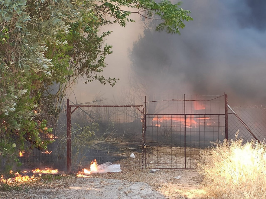 Φωτιά στη Νέα Κηφισιά: Βγήκαν στις αυλές οι κάτοικοι για να σβήσουν τις φλόγες (βίντεο + φωτό)