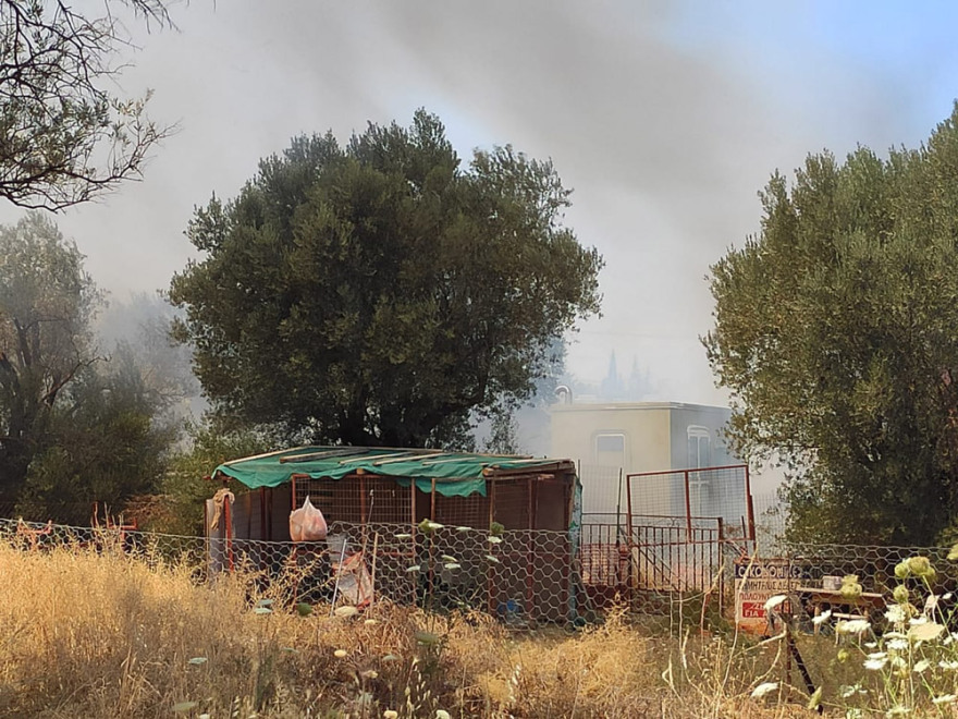 Φωτιά στη Νέα Κηφισιά: Βγήκαν στις αυλές οι κάτοικοι για να σβήσουν τις φλόγες (βίντεο + φωτό)