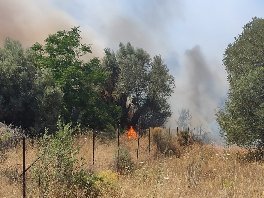 Φωτιά στη Νέα Κηφισιά: Βγήκαν στις αυλές οι κάτοικοι για να σβήσουν τις φλόγες (βίντεο + φωτό)