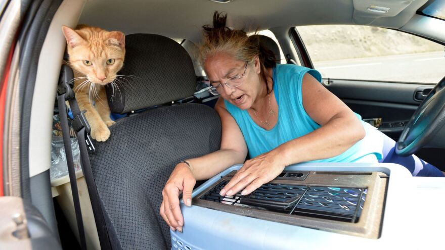 Καύσωνας στον Καναδά: Μέσα σε 20 λεπτά η πόλη Λίτον εξαφανίστηκε από τον χάρτη - Βίντεο και φωτογραφίες 