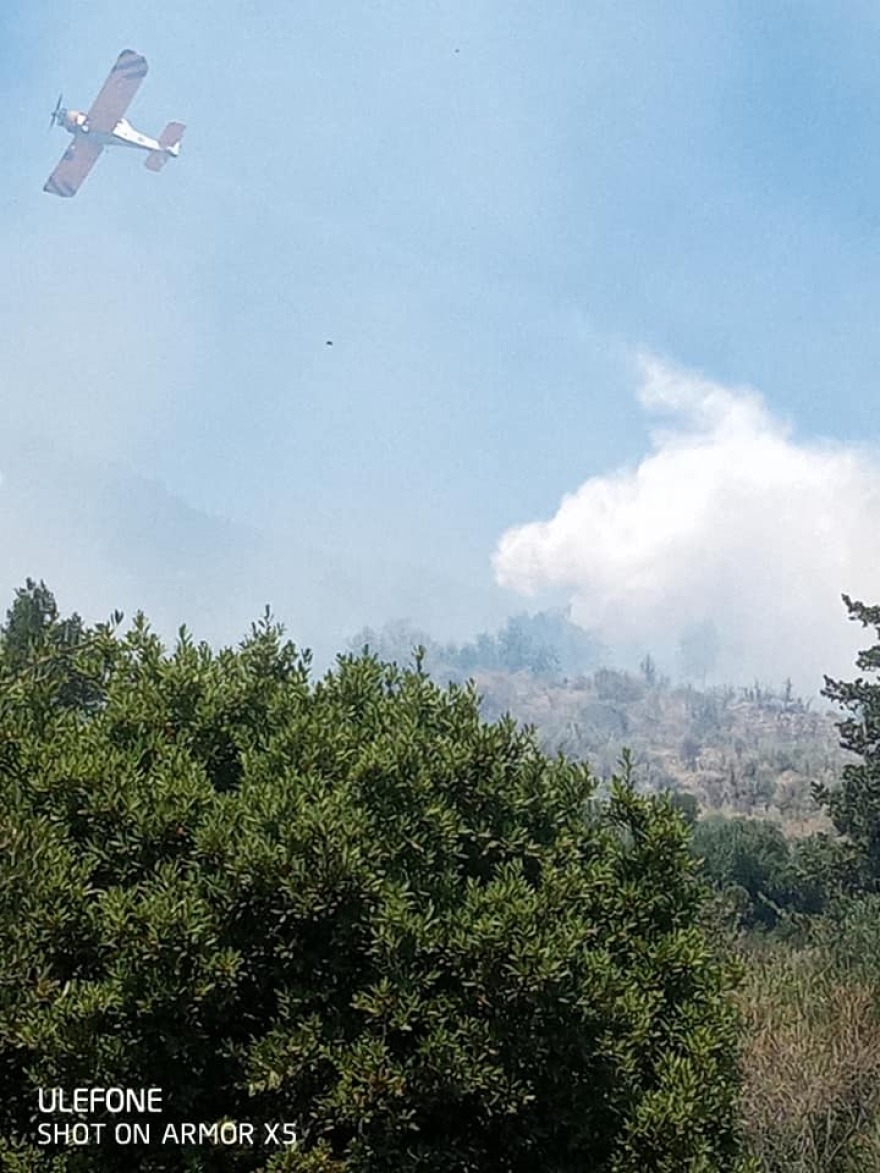 Φωτιά σε δασική έκταση στην Κεφαλονιά - Απομακρύνθηκαν κάτοικοι από την περιοχή Καπανδρίτι