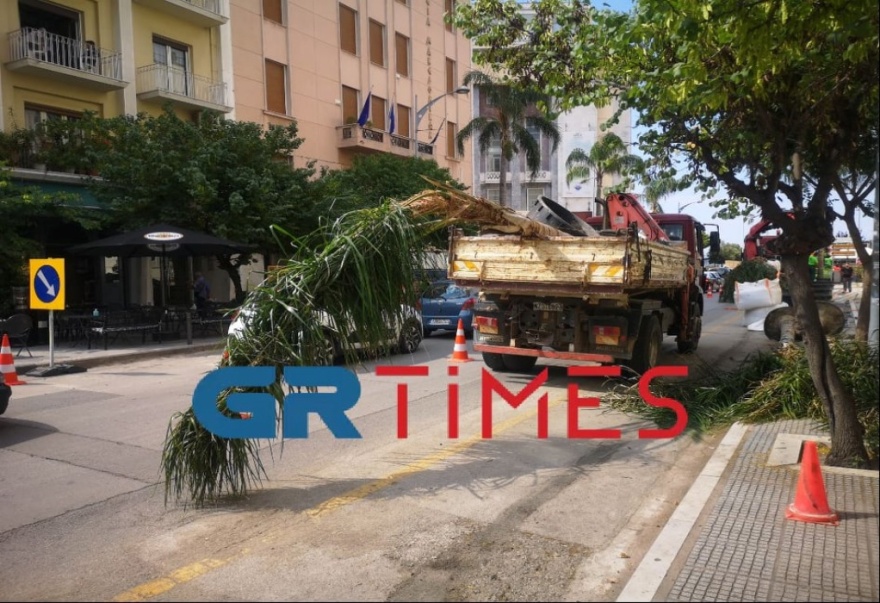 Ταινία Αντόνιο Μπαντέρας: Μετέτρεψαν κεντρικό δρόμο της Θεσσαλονίκης σε Μαϊάμι - Βίντεο & φωτογραφίες