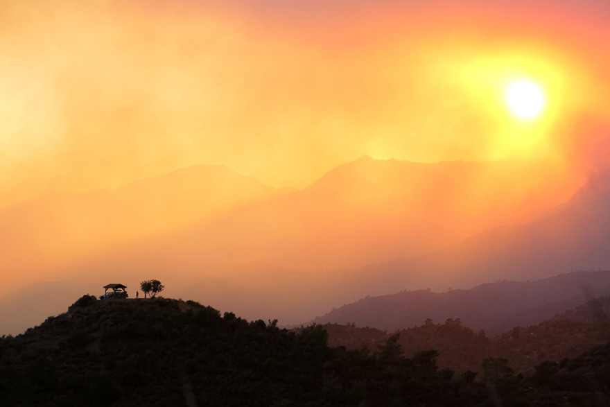 Κύπρος: Από κάψιμο χόρτων η πυρκαγιά που έφερε την καταστροφή