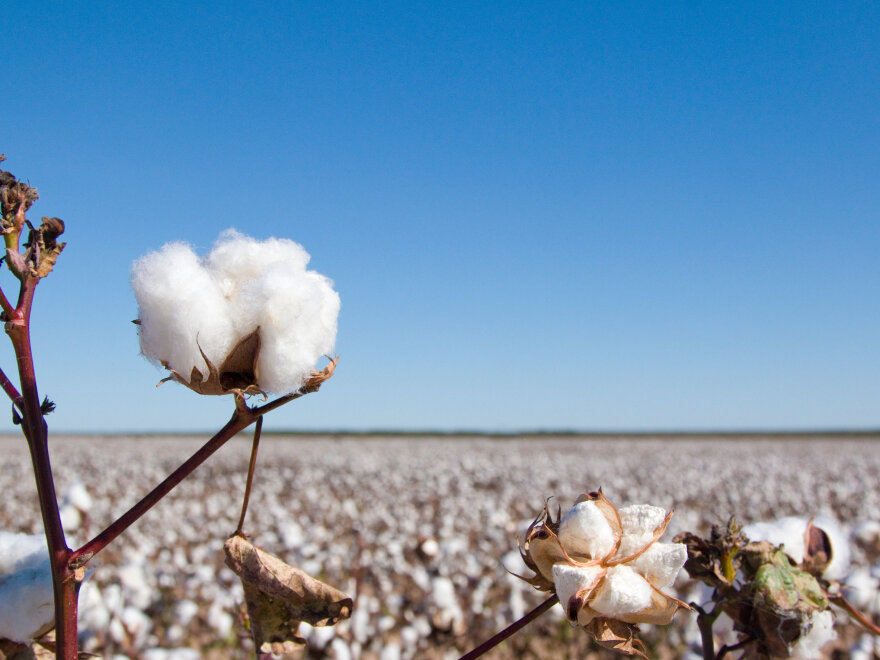 Πώς μπορούμε να προλάβουμε τους μύκητες στα πόδια