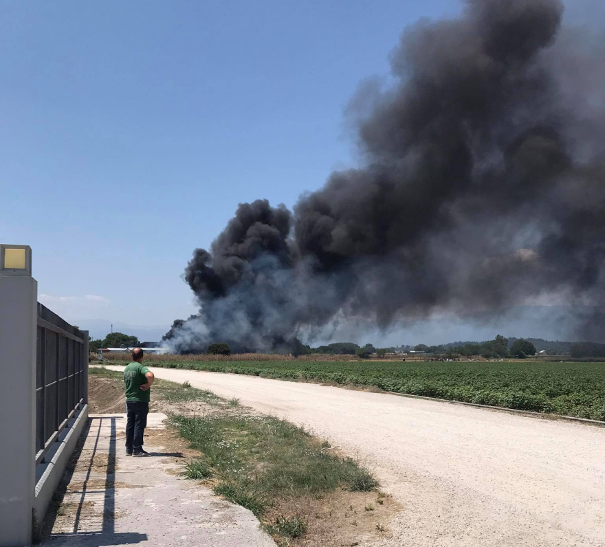 Φωτιά στη Μπαλκούρα Τρικάλων - Καίγεται ποιμνιοστάσιο