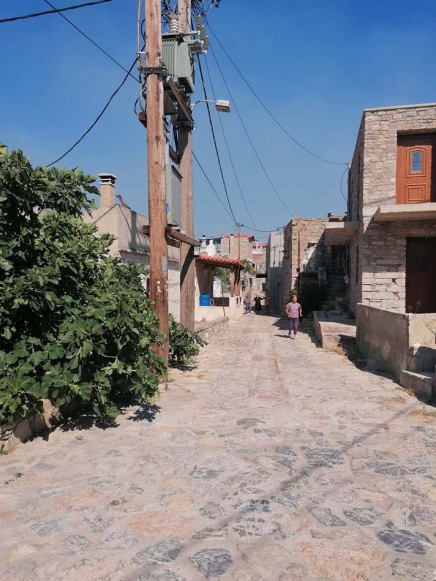 Φωτιά στη Χίο: Εκκενώθηκαν προληπτικά 3 χωριά - Στη μάχη της κατάσβεσης και το ρωσικό θηρίο Beriev (Βίντεο)